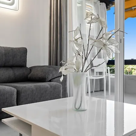 Carolina Park Apartment